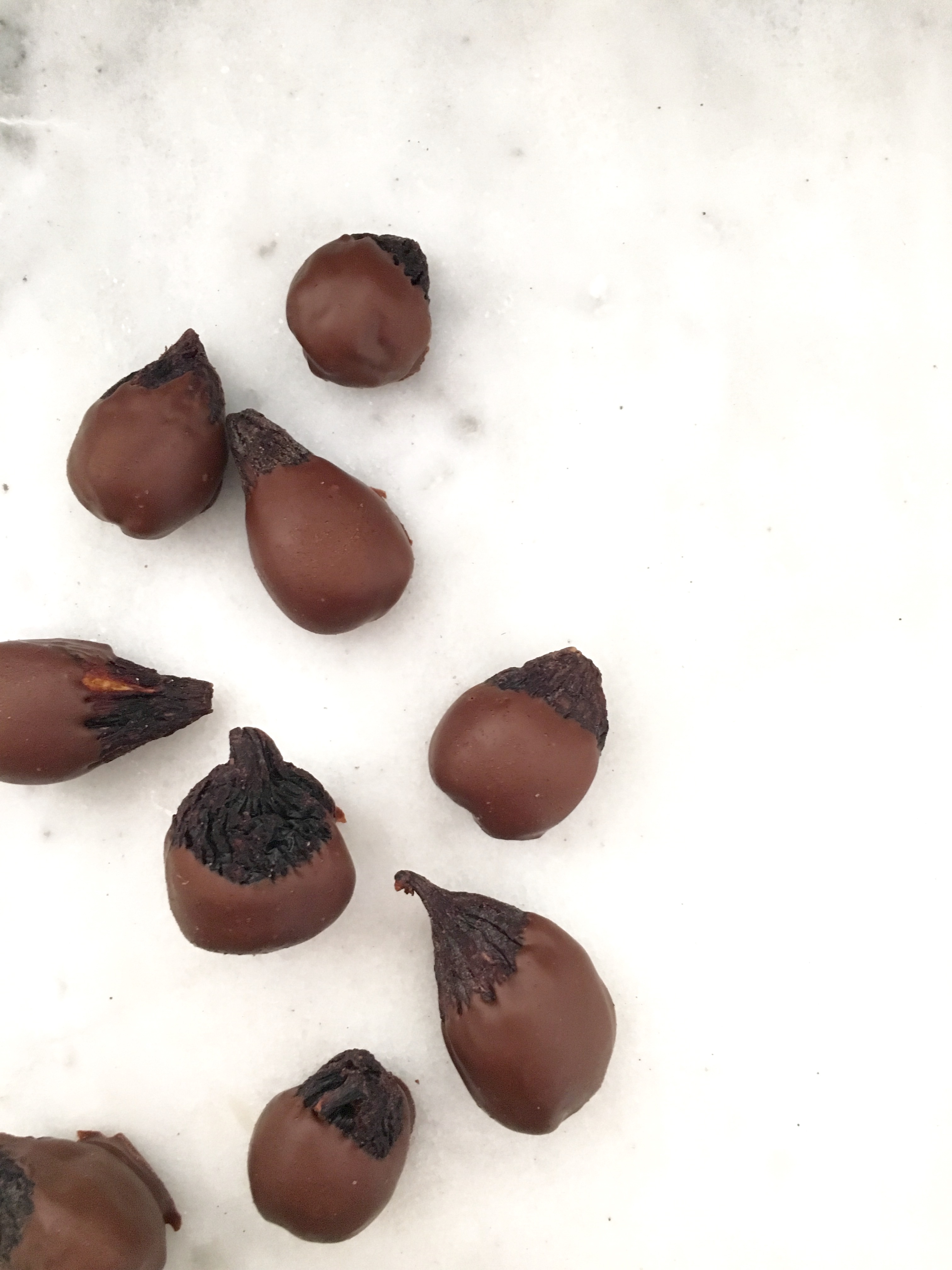 Marcona Almond Stuffed Chocolate Covered Figs